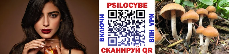 Галлюциногенные грибы Psilocybe Чудово