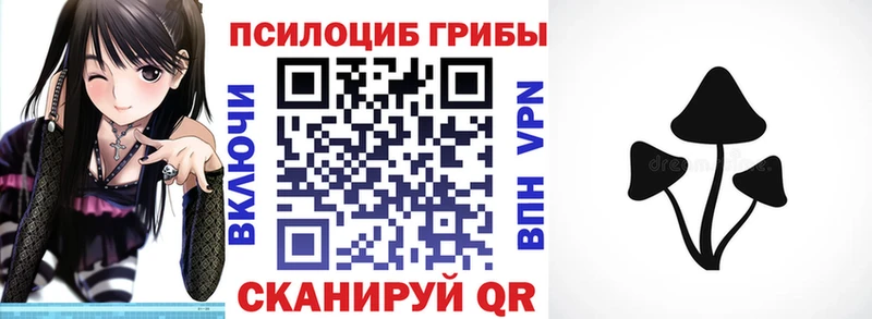 маркетплейс состав  Чудово  Псилоцибиновые грибы Psilocybe  продажа наркотиков 